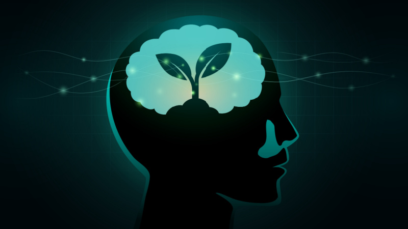 #022: The Mindset Reset Challenge