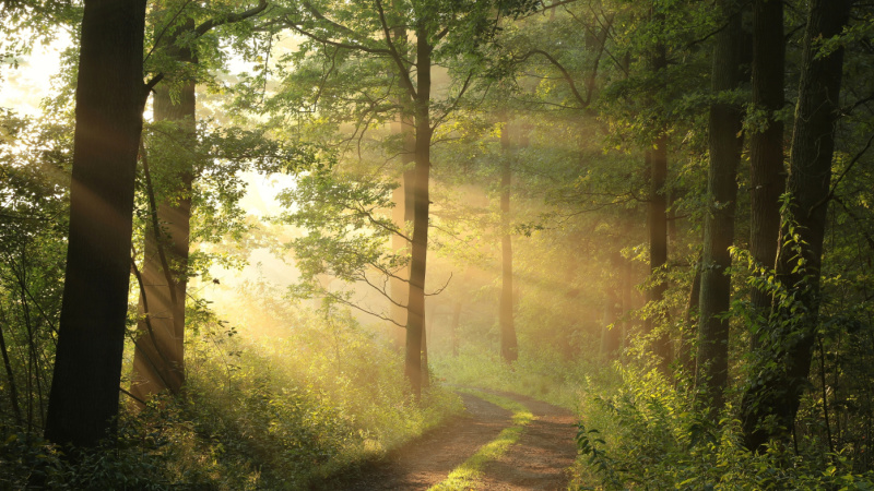 #032: The Power of Clarity and How to Find It with Jack Swift